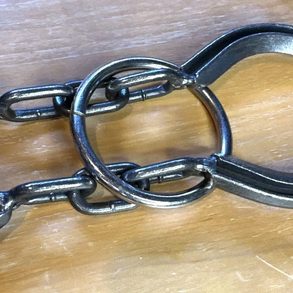 Horseshoe Chain Puzzle Hanayama Star Magic Trick Brain Teasers fun at home